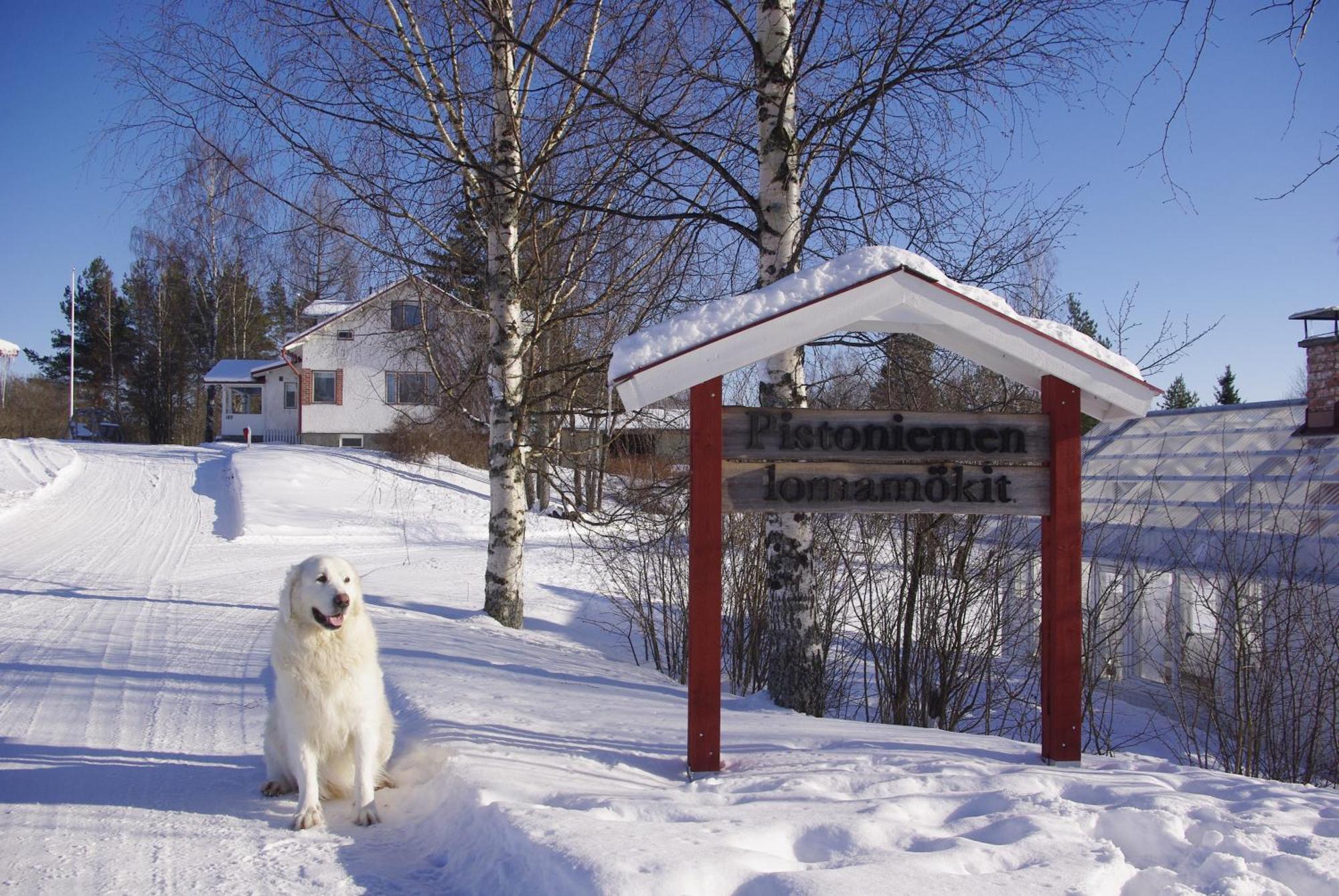 Vila Tiiramoekki Parikkala Exteriér fotografie