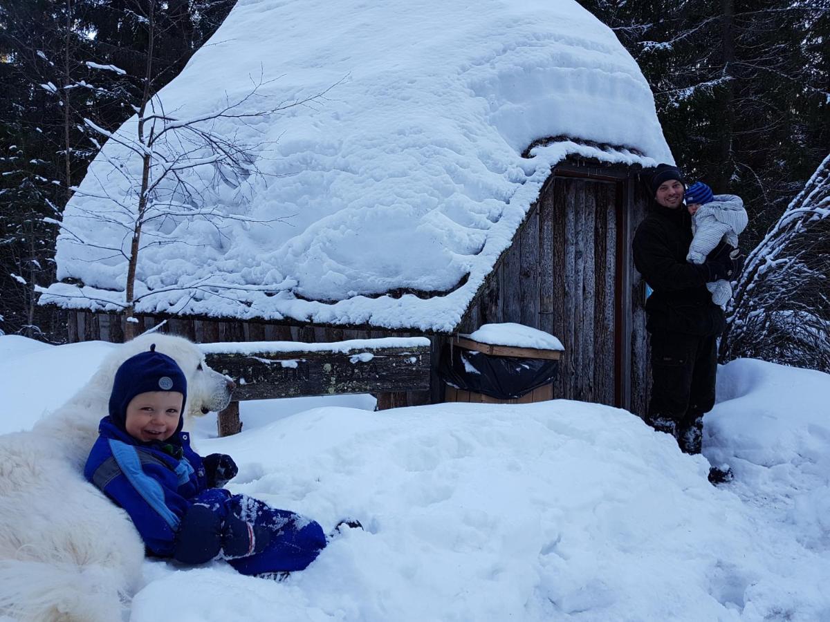 Vila Tiiramoekki Parikkala Exteriér fotografie